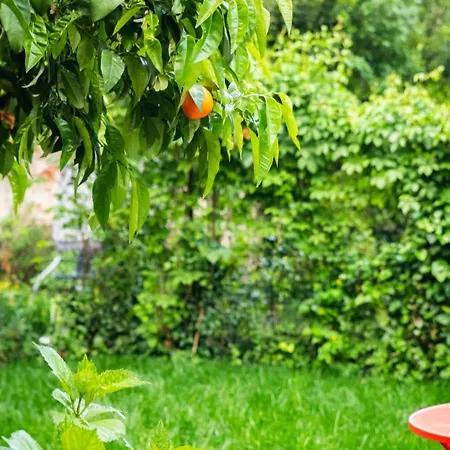 Marylou Gardenhouse * Pisa